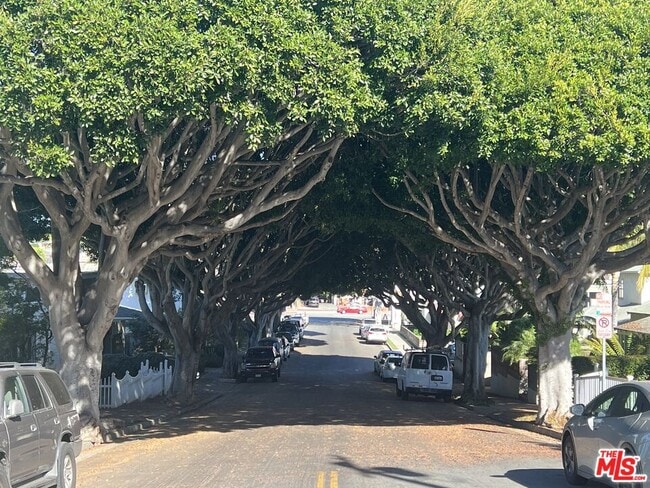 Building Photo - 721 Cedar St