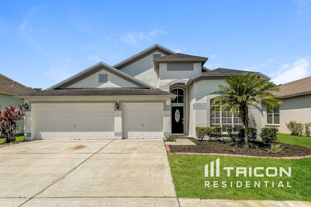 Primary Photo - 6707 Pine Springs Drive Wesley Chapel FL