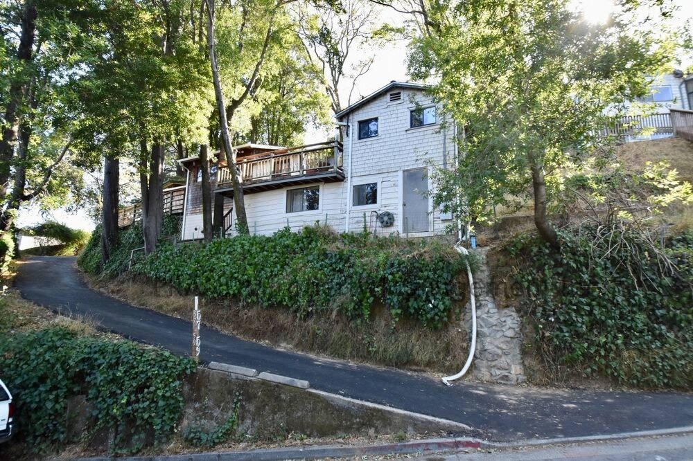 Charming and Bright Christmas Tree Hill Home