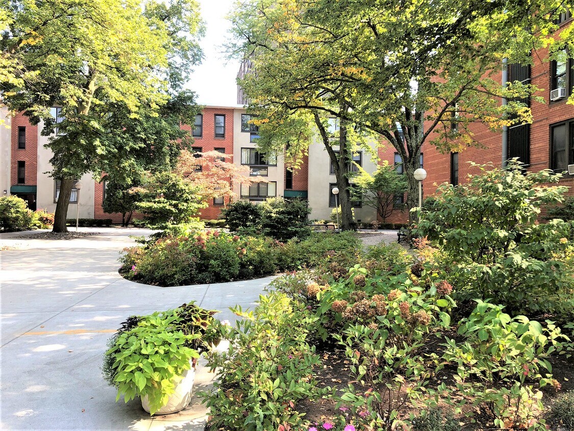 Primary Photo - 6 Juniper St