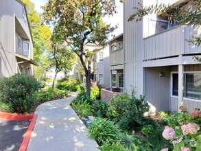 Building Photo - 3491 Wine Barrel Way