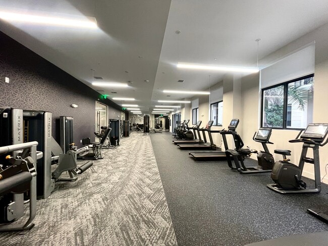 Gimnasia - Alvista Bay Pointe
