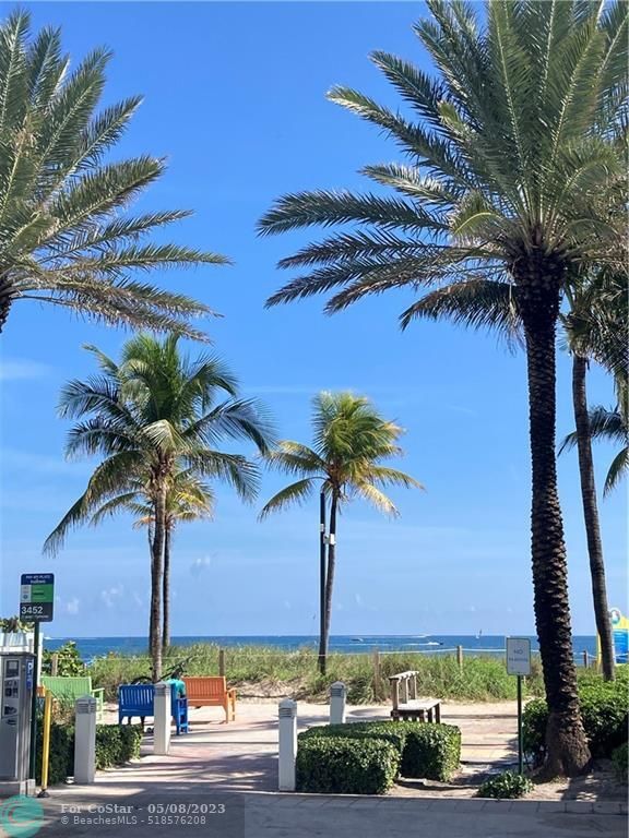 4232 N Ocean Dr, LauderdalebytheSea, FL 33308 Room for Rent in