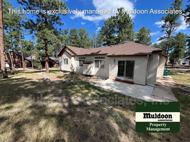 Foto del edificio - 125 Tall Pine Ln