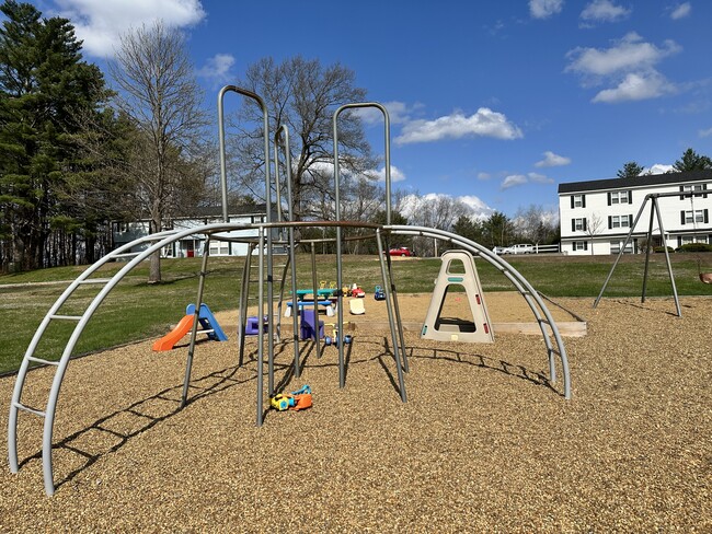 Fun Playground - Woodland Commons