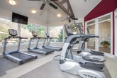 Located at Carrington Court in Norcross, Georgia, this single-floor fitness center is a comprehensively equipped facility designed to support a wide range of workout routines. The space features a clean, open layout with a neutral color palette, crown molding, and wainscoting that lend a polished, upscale feel to the environment.

Floor-to-ceiling mirrors line the walls, visually expanding the space and allowing members to monitor their form during exercise. Large windows throughout the facility invite ample natural light and offer views of the surrounding greenery, creating an energizing atmosphere. The flooring combines carpet and rubberized workout surfaces, providing both comfort and functionality across different training zones.

The strength training area is outfitted with a multi-station cable machine, a functional trainer, and a dedicated free weight section featuring a full rack of dumbbells and an adjustable bench. A wall-mounted flat-screen television adds convenience to the workout experience. The functional training zone includes a power rack with battle ropes, medicine balls in various sizes, and kettlebells for dynamic exercise options. A punching bag and stability balls are also available for diverse training needs. Cardio equipment, including treadmills and other machines, rounds out the facility's offerings, making this fitness center a versatile destination for residents seeking a complete workout experience.