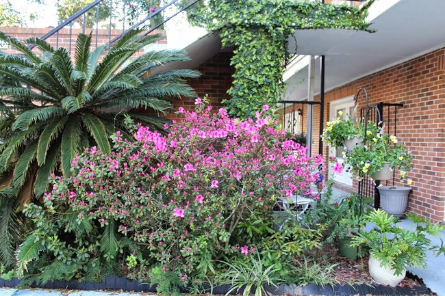 Foto del edificio - Fort King Manor
