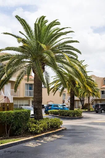 Building Photo - 8675 NW 5th Terrace