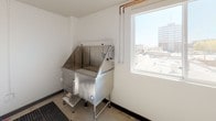 This single-level pet wash space is purpose-built for grooming and bathing pets, offering a practical and well-equipped environment. The room features white walls with dark baseboards and a concrete floor, lending it a clean, utilitarian aesthetic. A large window allows natural light to fill the space while framing views of the surrounding urban skyline.

The centerpiece of the room is a stainless steel pet bathing tub with folding side panels and a step platform for easy access, complemented by exposed copper plumbing lines routed along the walls and ceiling to supply hot and cold water. A floor-level drain grate provides efficient water drainage during bathing. A dedicated grooming table with a non-slip surface and an adjustable arm restraint offers a secondary station for drying and styling.

Climate control is handled by a wall-mounted mini-split unit, ensuring year-round comfort for both pets and handlers. A utility-style ceiling light provides consistent overhead illumination. The entry is secured with a solid-core door, and additional plumbing hookups on the wall suggest flexibility for expanded equipment. Overall, the space is thoughtfully outfitted for efficient, professional-grade pet care.