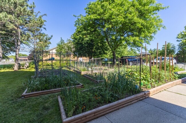 Building Photo - Gorgeous Renovated 2 Bed On Mall Road