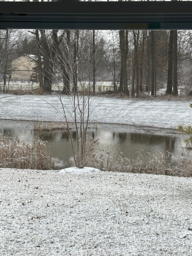 Back yard with pond views - 6367 Celeste St