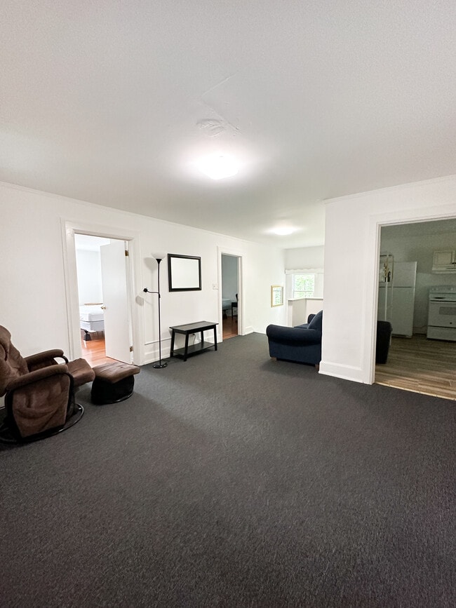 Living Room - 209 Stewart Ave