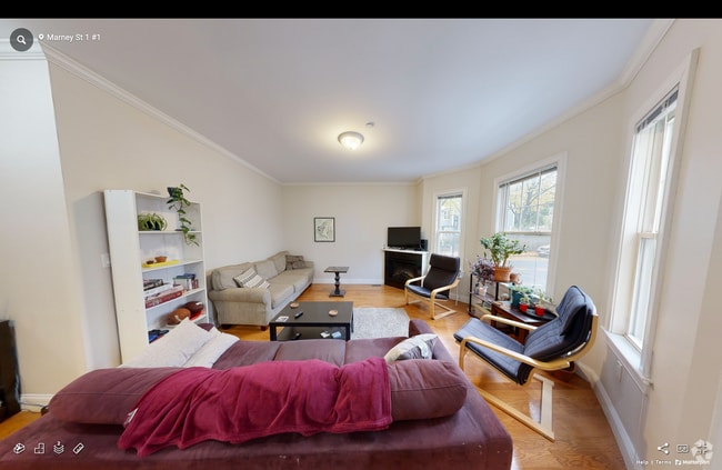 Building Photo - 20 Marney St