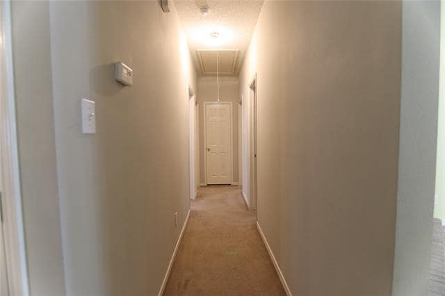 Building Photo - 1507 Warm Springs Dr