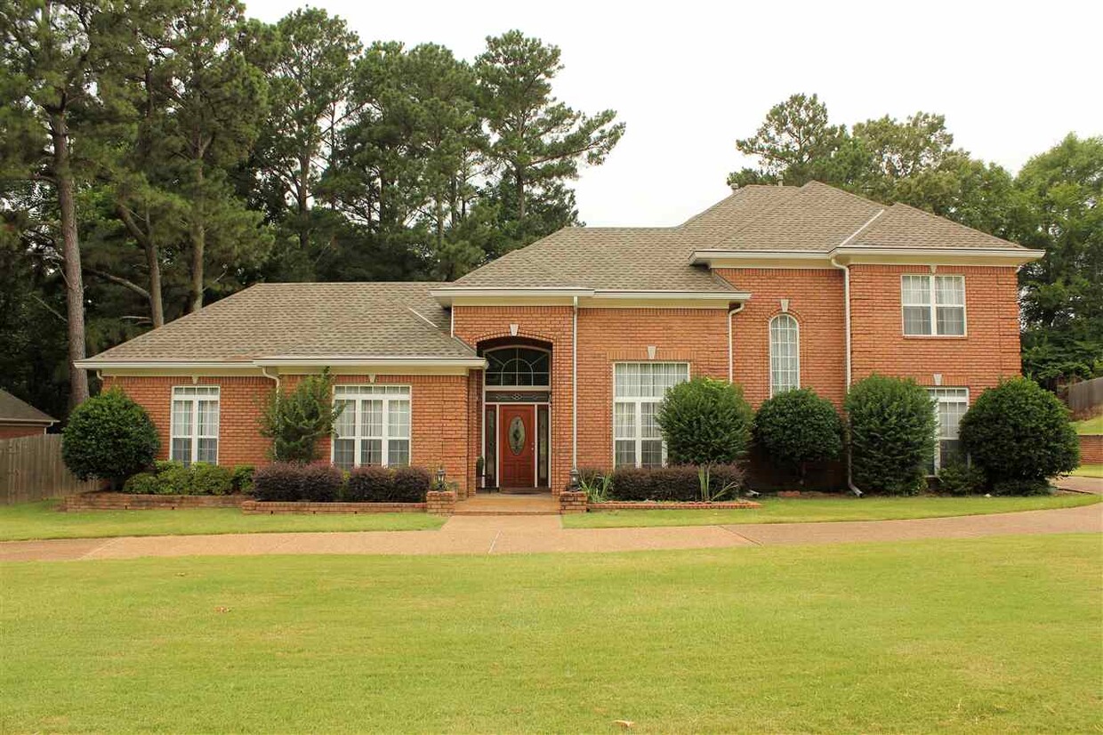 Primary Photo - 355 Forest Hill-Irene Rd