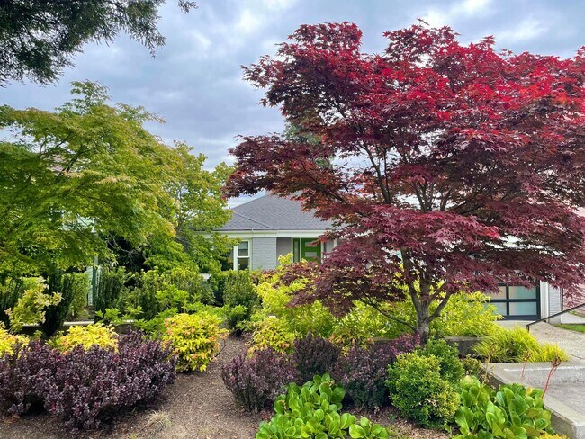 Foto del edificio - View Ridge 4 Bed, 2 Bath Home