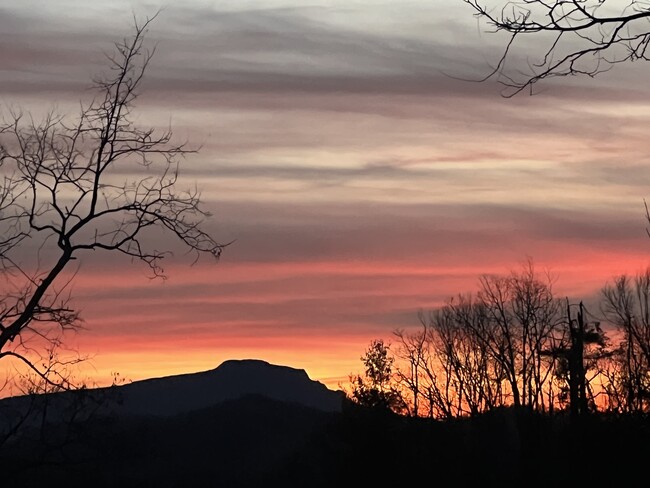 Building Photo - 127 Sun Haven Ln