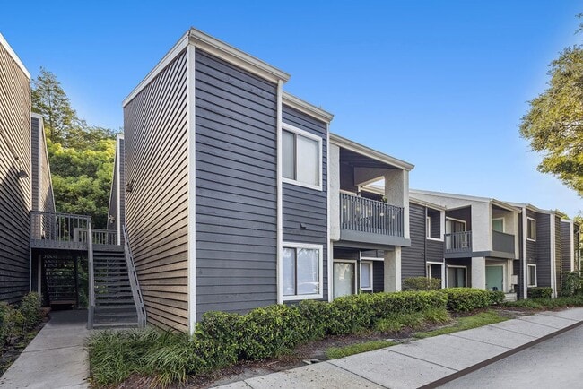 Foto del edificio - The Pointe at Carrollwood