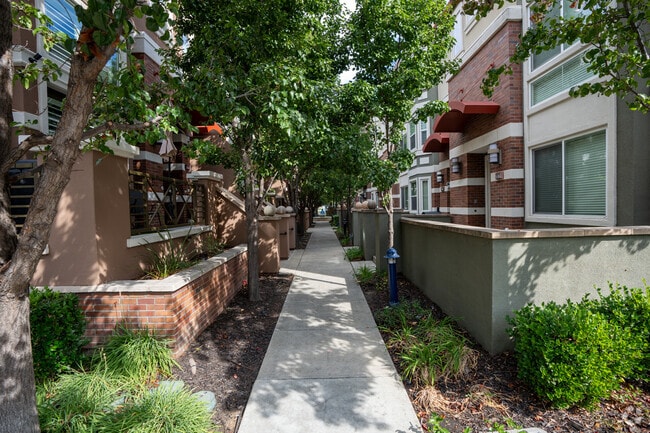 Strolling through the beautiful corridor that connects these apartments in Dublin.