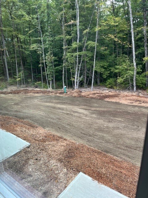 Backyard - 1133 Chocorua Rd