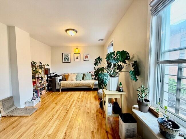 Foto del edificio - 123 Brunswick St
