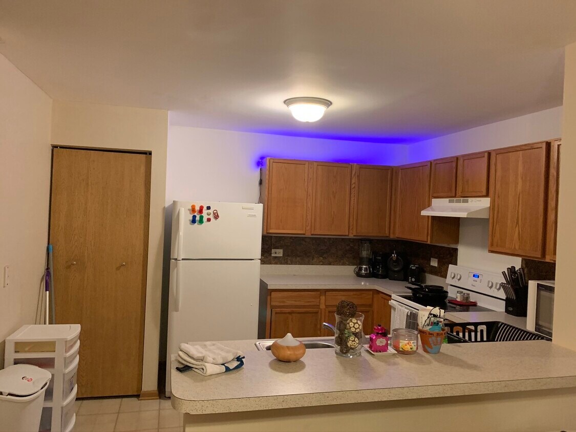 1107 Silverstone Dr Unit 1107, Carpentersville, IL 60110 Condo for Rent in Carpentersville, IL