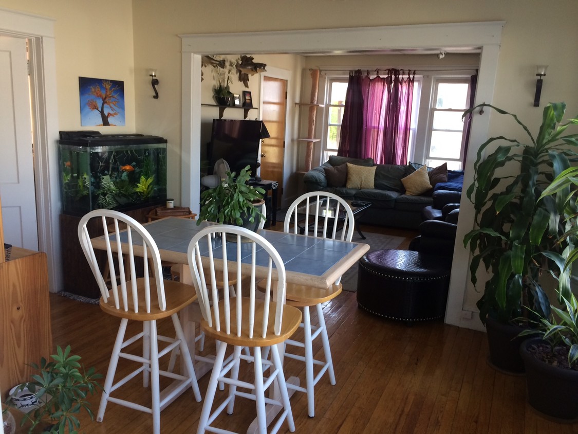 Dinning room - 227 Sherman Ave