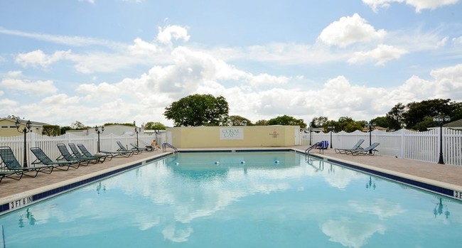 Piscina - Coral Cay Plantation