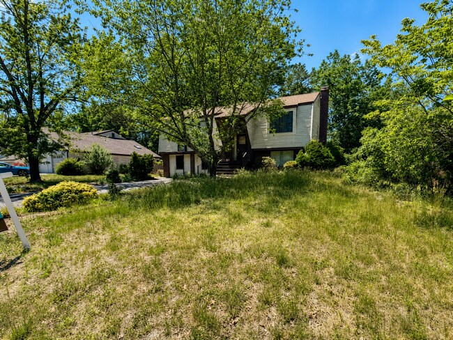 Foto del edificio - 5BR Jackson Home with Yard and Deck