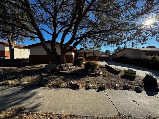 Building Photo - Mid-century Modern Heights Home