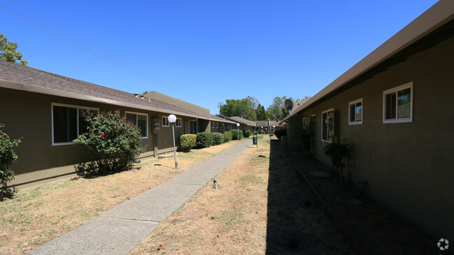 Building Photo - Alta Redwood Apartments