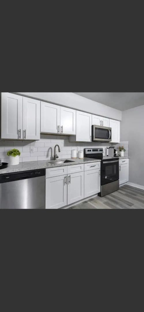 Foto del edificio - Charming 1BR apartment in Norfolk