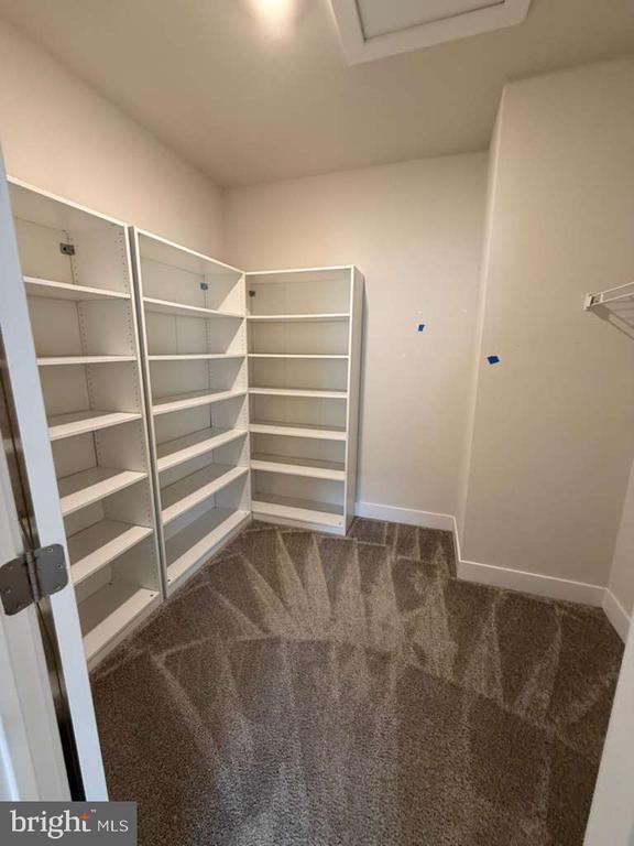 Foto del edificio - 704 Peony Ln