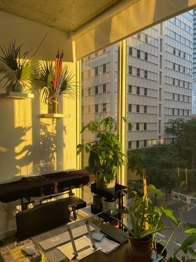 Lots of natural light - 151 SE 1st St