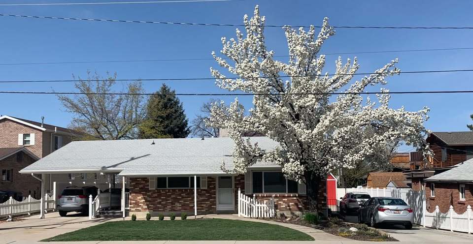 Primary Photo - 2295 Timpview Dr