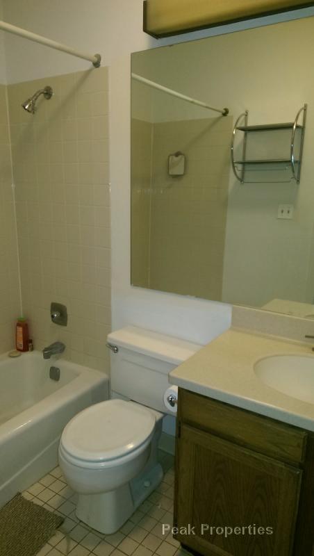 Foto del edificio - 1727 N Halsted St