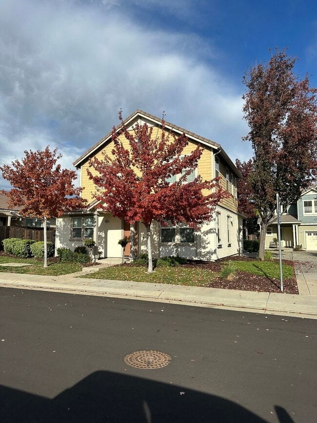 Foto del edificio - Patterson Stunner