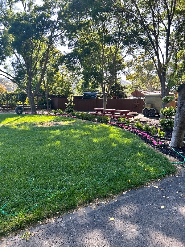 Building Photo - 155 Madrone Ave