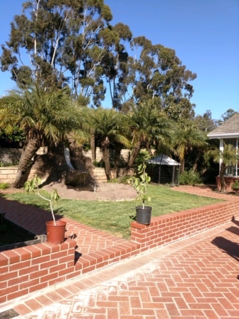 Building Photo - 11042 Promesa Dr