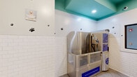 Located at 950 Marietta St NW in Atlanta, Georgia, this self-serve pet grooming space is a compact, purpose-built dog wash facility designed for functionality and cleanliness. The room is defined by its crisp white subway tile wainscoting that lines the lower half of all walls, creating a hygienic, easy-to-clean surface well-suited to its purpose. Above the tile, smooth white walls are adorned with playful black paw print decals, adding a welcoming, pet-friendly character to the space. A standout design feature is the bold teal-painted ceiling, which adds a pop of color and visual interest to the otherwise clean, neutral palette. The flooring consists of large-format tiles laid in a herringbone pattern, contributing both style and durability. The centerpiece of the room is a stainless steel Evolution Dog Wash self-service bathing station, equipped with hoses and controls for convenient use. Adjacent to the wash station are self-service dryer units. A small black table provides a surface for personal items during use. A window on one wall allows for visual connection to an adjacent area, while a glass-panel entry door provides access. Recessed ceiling lighting ensures the space is well-illuminated throughout.