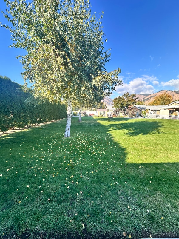 Foto del edificio - 5634 Locust Ln