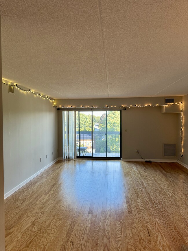 Living Room - 289 Elm St