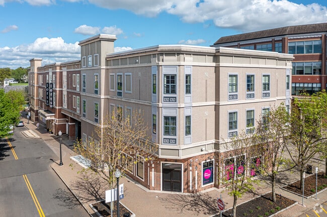 Building Photo - The Lofts at Blue Back Square