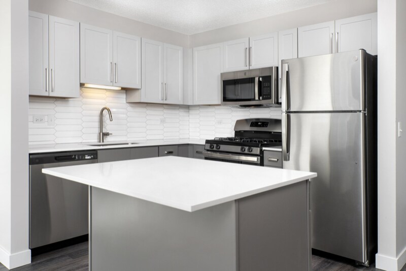 250 East South Water Street, Chicago, IL 60601 Condo for Rent in