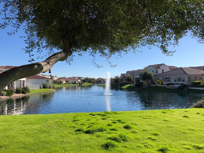Gorgeous neighborhood - 4101 S Pecan Dr
