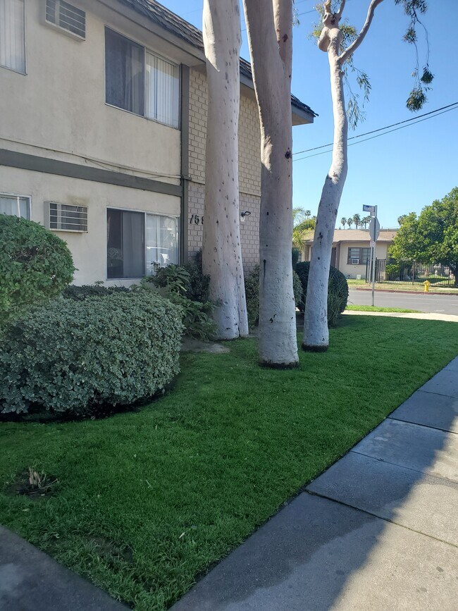 Building Photo - 15950 Vanowen St