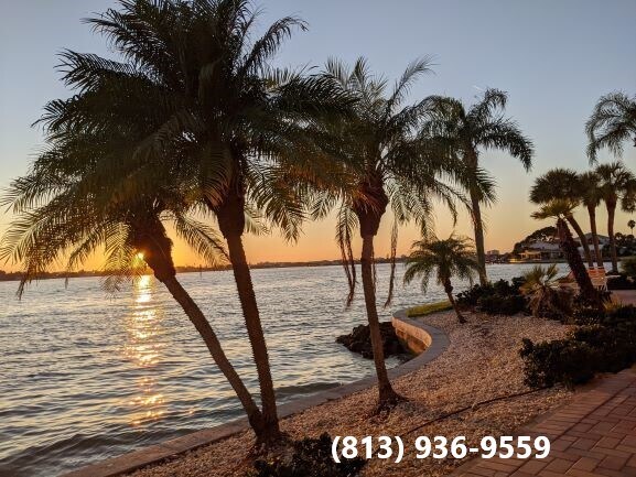 Vista de la puesta de sol en la bahía - 4700 Cove Cir