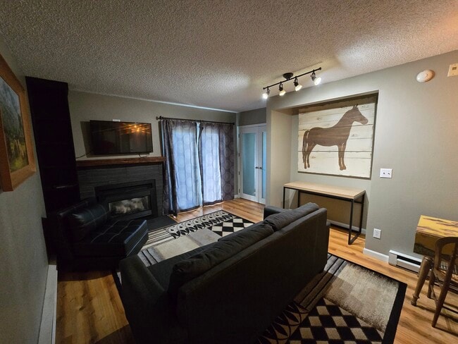 Living room with gas fireplace - 1315 Sparta Plz