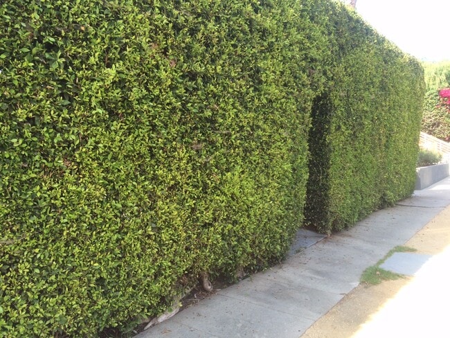 Foto del edificio - 601 N Hayworth Ave