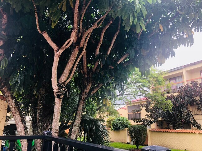 ZONA TRASERA - 7795 Grande St